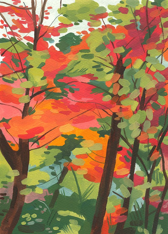 Garance-Grace-helmer-Shinrin-Yoku-a-book-about-Japanese-forest-bathin-forest-autumn