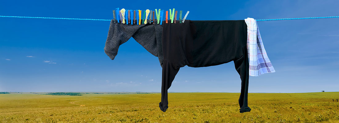 Helga Stentzel HORSE_SMALL_ban