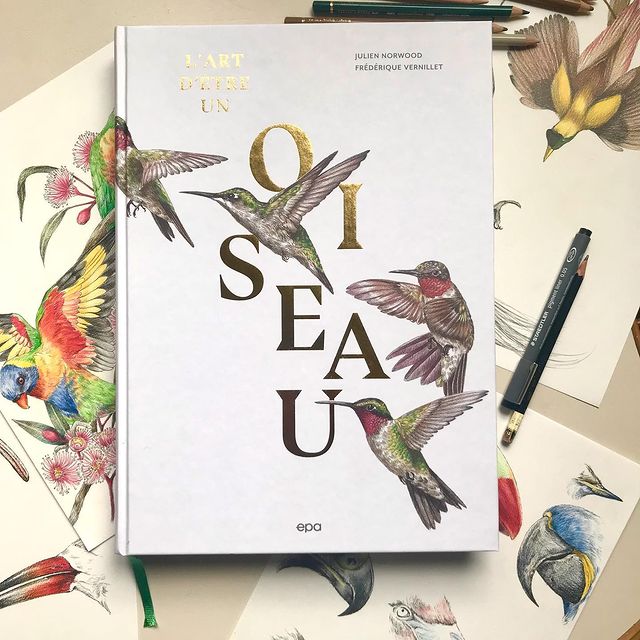 Garance-Illustration-Frédérique-Vernillet-The-art-of-being-a-bird-Book-Cover